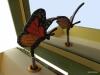 Monarchs Musikdose, Enchantmints Spieluhr Schmetterlinge, Großansicht Schmetterling-Figur Monarch