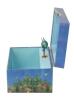 Regenbogenfisch Spieluhr Trousselier, Seitenansicht geöffnete Spieldose