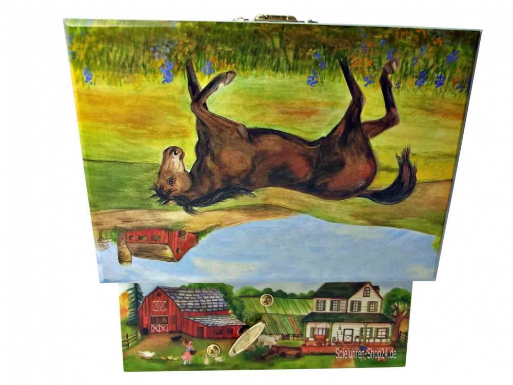 Die Rückseite der geöffneten Spieluhr mit Aufziehmechanismus