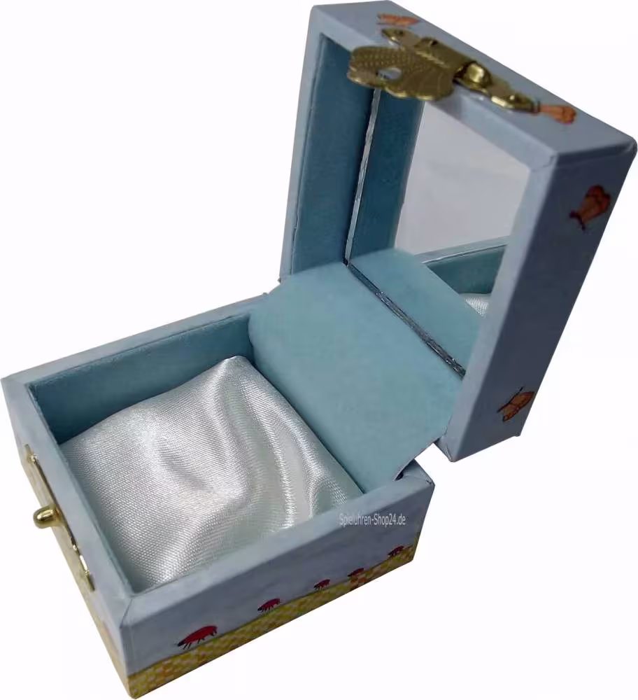Offene Zahnbox mit Spiegel, hellblauem Samt und weißem satinbezogenem Kissen
