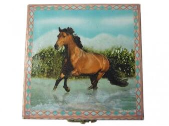 Zahndose Enchantmints, Pferde rennen im Wasser