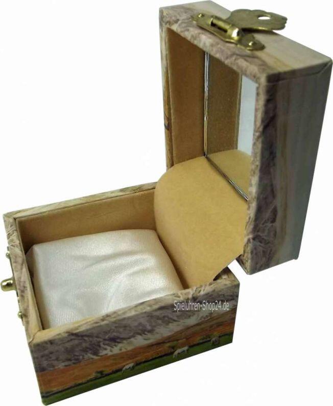 Zahndöschen offen mit kleinem satinbezogenem Kissen und Glas-Spiegel