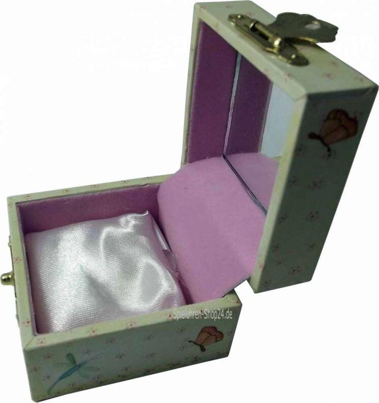 Geöffnete Zahndose mit rosa Samt, Spiegel und Kissen