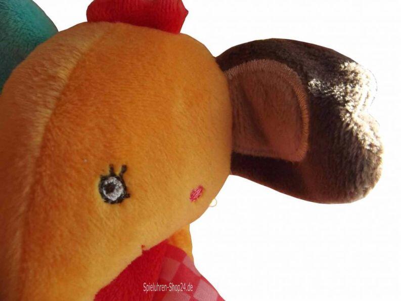 Schelmisches Auge von nahem