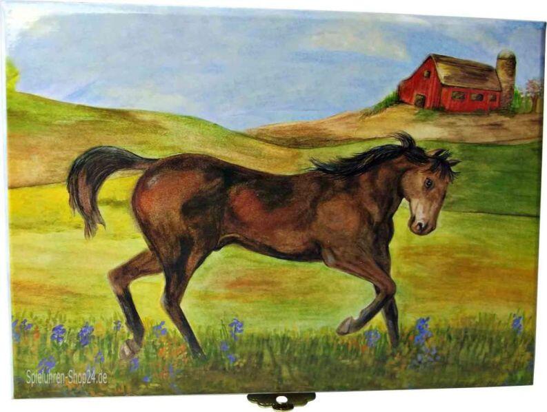 Weites Land und im Vordergrund ein braunes Pferd auf einer Blumenwiese