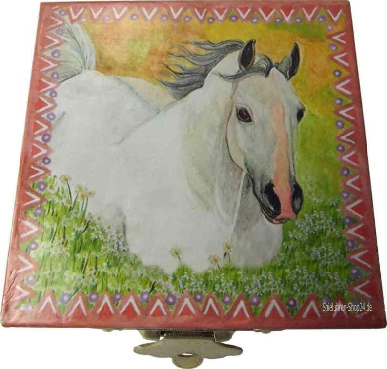 Zahndösli, stolzes weißes Pferd mit rosa Blesse steht in Blumenwiese